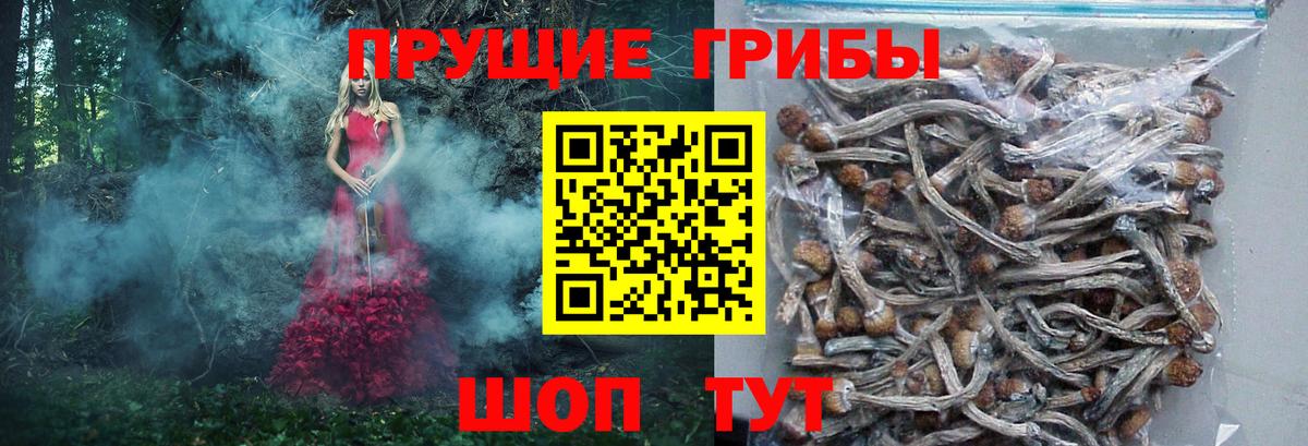даркнет сайт  Псилоцибиновые грибы Psilocybine cubensis  Вход с VPN  Галлюциногенные грибы ЛСД  Узловая 